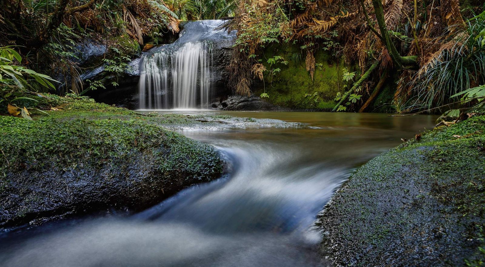 A small waterfall in a green forest